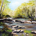 Upstate South Carolina Trout Stream