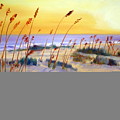 Beach Sunrise