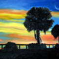 Palmetto Nights